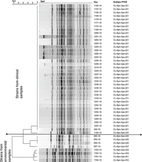 Click to Enlarge View Fig 2