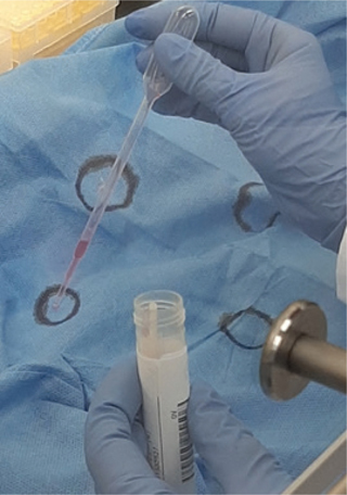 Click to Enlarge View Fig 1